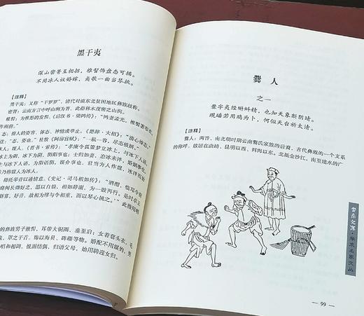 《清代云南民族竹枝词诗笺》，小16开，平装，李孝友笺注，云南人民出版社2015年版，定价60元，售价20元，非偏远地区包邮。品相9成。 商品图7