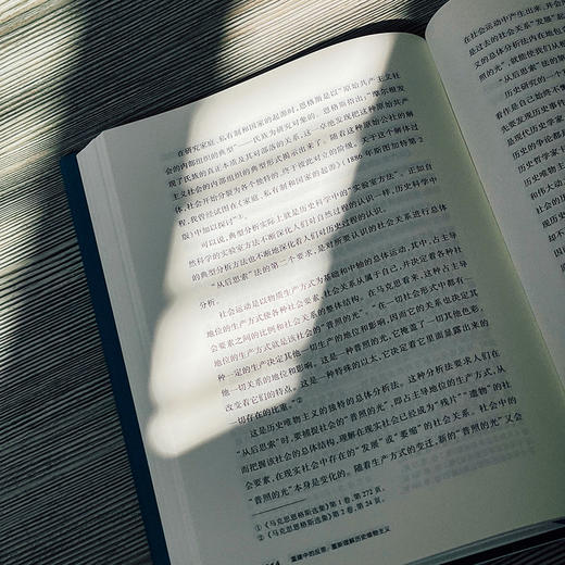 重建中的反思 重新理解历史唯物主义 杨耕文集 第4卷 解读马克思主义 商品图9