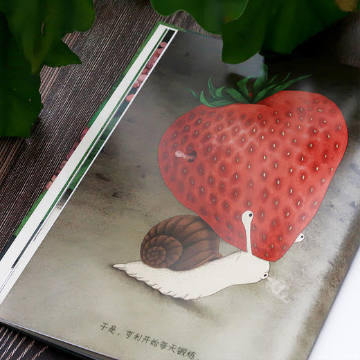 没有黏液的蜗牛  浪花朵朵 商品图3