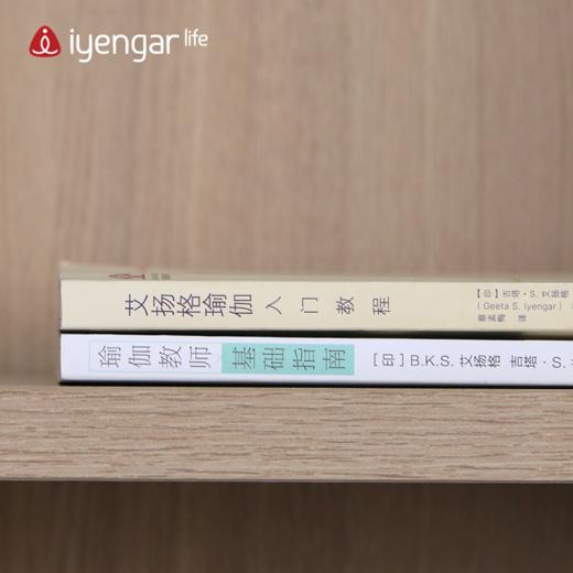 致敬教师节：教师指南+入门教程优惠套餐 商品图2