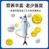 【萌萌姐专属】市舶士 挪威进口纯净深海捕捞青花鱼 冷冻海鲜水产鲭鱼900g/盒 商品缩略图2