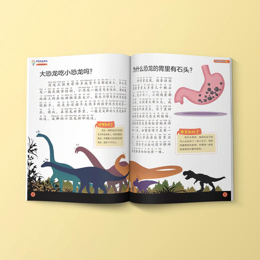 《十万个为什么》（彩绘注音版）全8册 商品图5