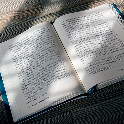 重建中的反思 重新理解历史唯物主义 杨耕文集 第4卷 解读马克思主义 商品图11