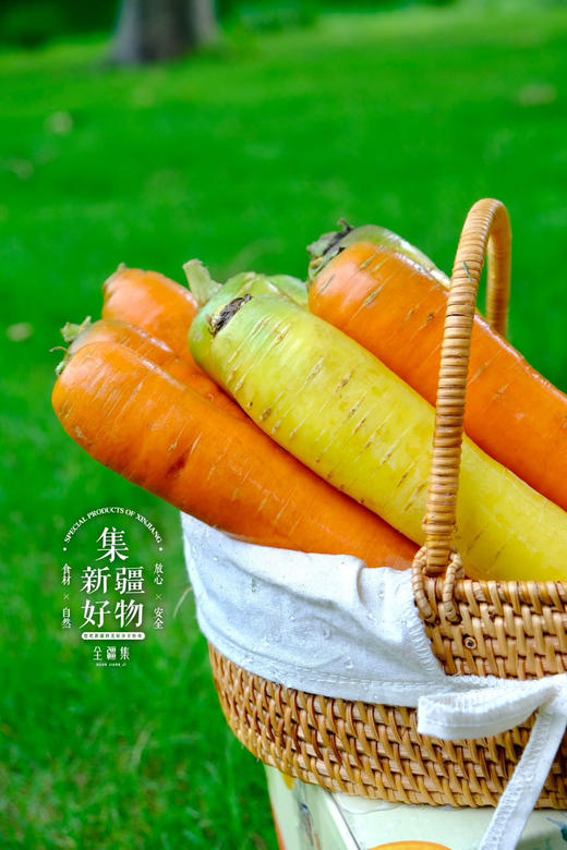 新疆黄萝卜/胡萝卜，甜津津，脆丝丝 商品图2
