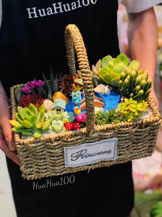 祝福花篮丨多肉系列（提前2~3天预订） 商品图2