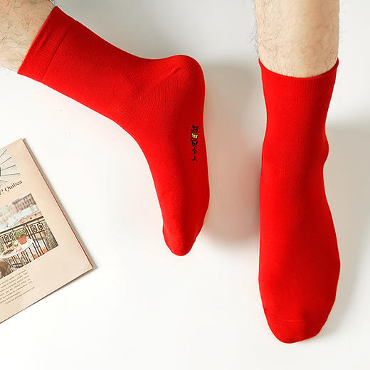 都市丽人都市锋尚简约系列精梳棉袜子中筒袜中厚款男士常规袜新年本命年红品FC3CB4 商品图0