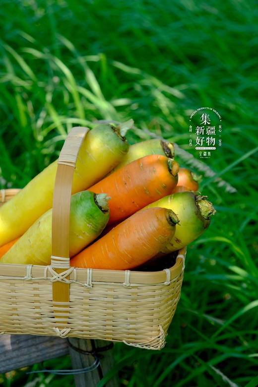 新疆黄萝卜/胡萝卜，甜津津，脆丝丝 商品图4