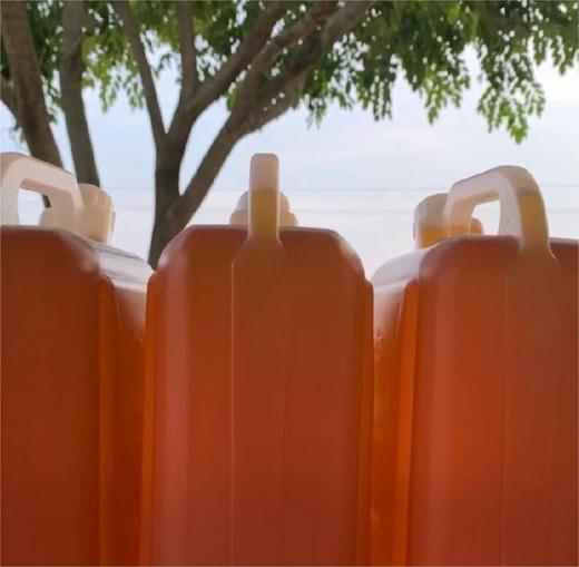 农家花生油 5斤装 商品图2