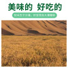 稻花香2号沙漠大米（氮气保鲜）(2.5kg（250g×10袋）/盒） 商品缩略图6