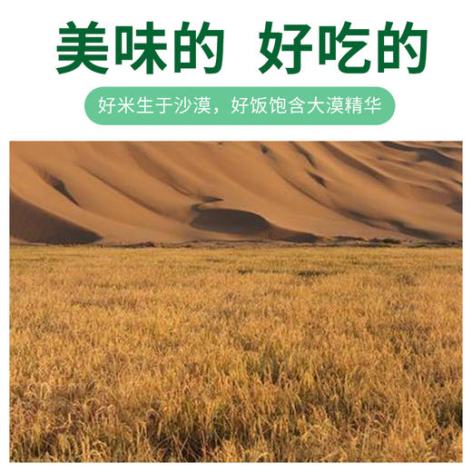 稻花香2号沙漠大米（氮气保鲜）(2.5kg（250g×10袋）/盒） 商品图6