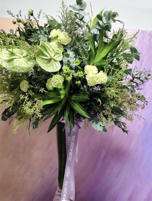 Plantation 商品图0