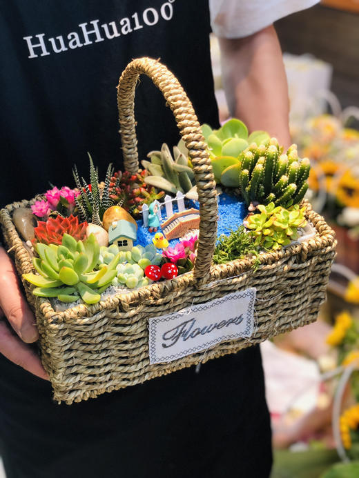 祝福花篮丨多肉系列（提前2~3天预订） 商品图0