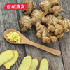 云南高原小黄姜3斤家庭装 【包邮直发】（ZB） 商品缩略图1