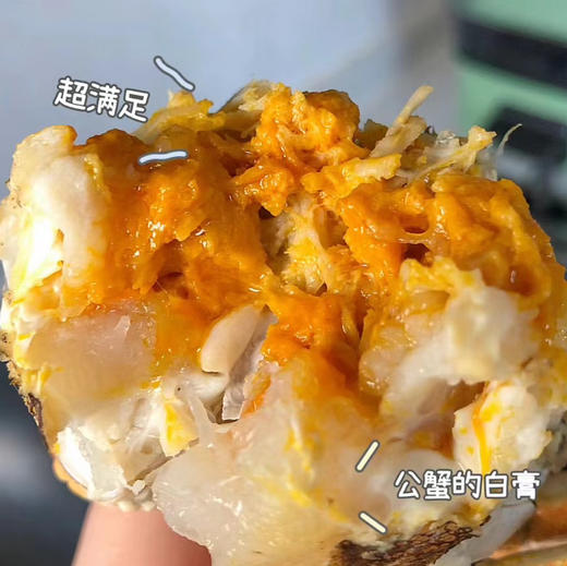 【蟹状元大闸蟹】礼券 商品图7