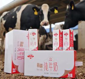 金绿成 新疆纯牛奶200ml*10瓶