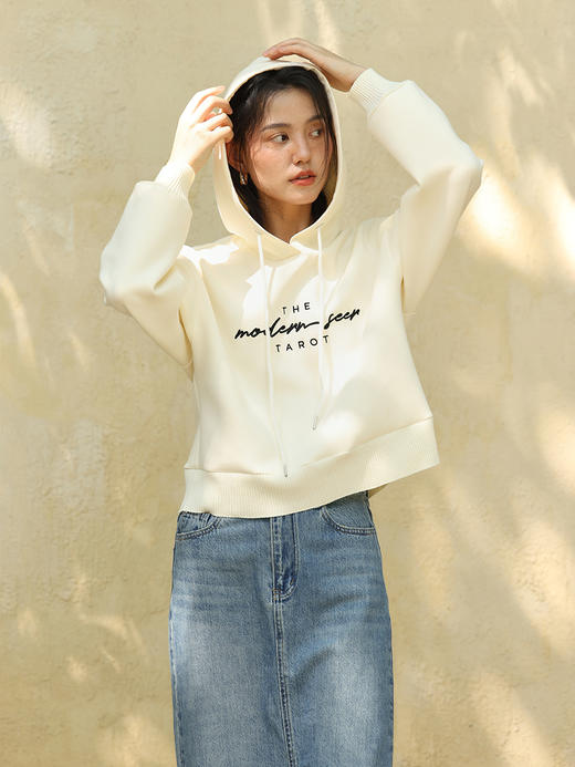 HeyDress原创刺绣印花卫衣女秋冬宽松休闲连帽上衣套头慵懒帽衫 商品图0