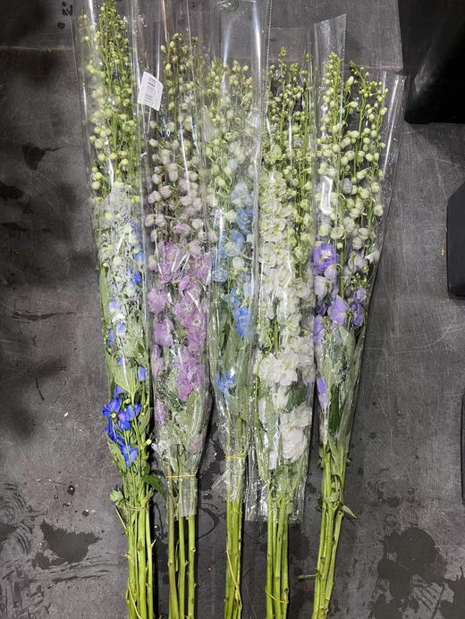 【国产】大飞燕  多色可选   约5枝/扎  约70公分 商品图11