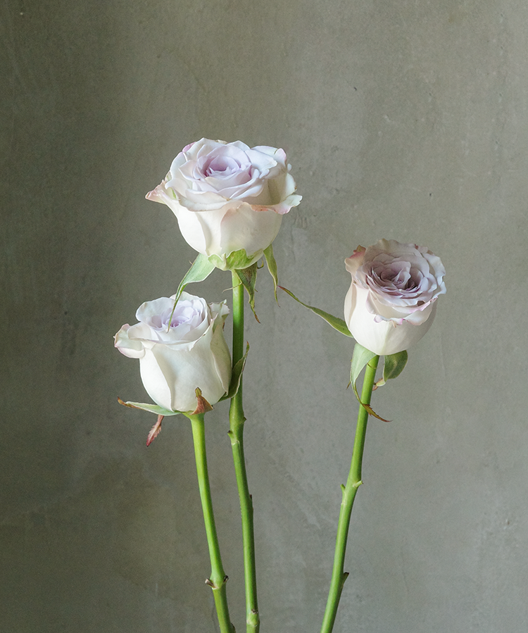 海洋之谜 The Mystery of the Sea