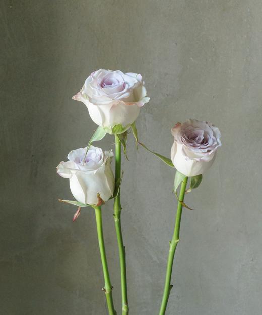 海洋之谜 The Mystery of the Sea 商品图0