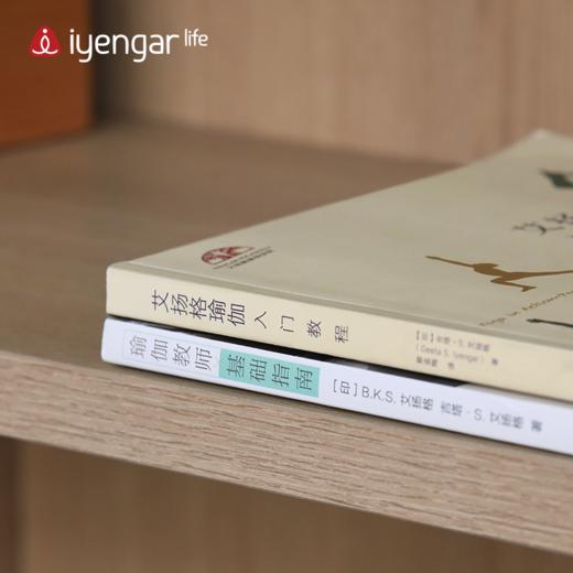 致敬教师节：教师指南+入门教程优惠套餐 商品图1