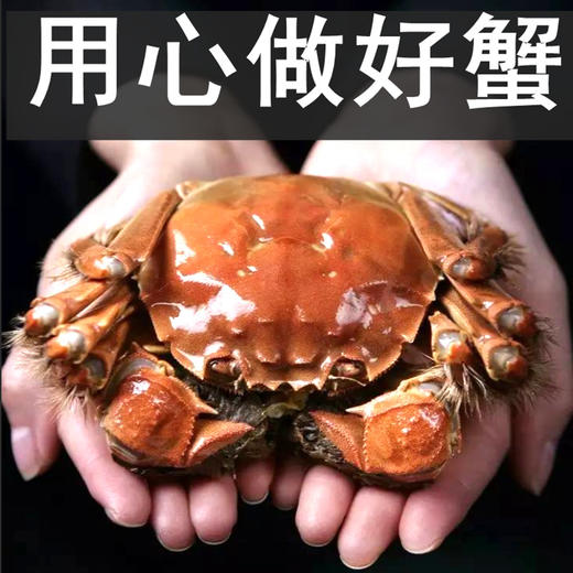 【不仅是一份礼物，更是一份温情与美味的代表！】阳澄湖大螃蟹 送礼的不二之选，品质保证，口感鲜美 严格筛选，保证每只螃蟹都符合高品质标准！lmsh 商品图3