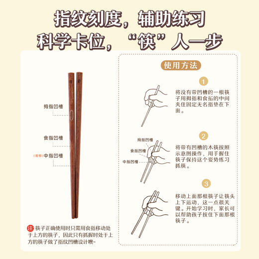 树可儿童筷子训练筷3岁6岁4专用学习6一12岁宝宝练习实木质短木筷 商品图2