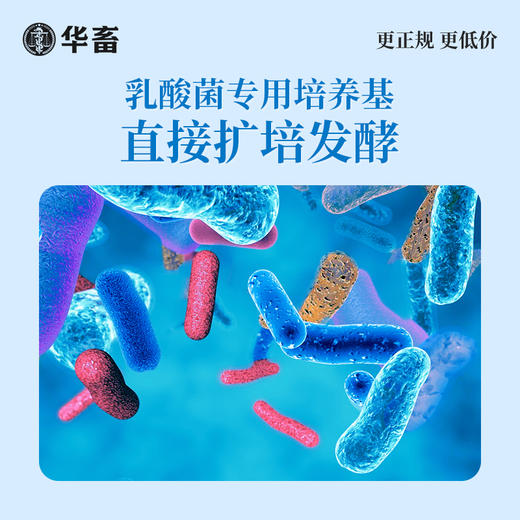 华畜水产乳酸菌1.1kg 复合菌种肠道健康呼吸好 商品图4