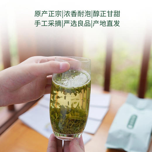 绿茶茶末 商品图4