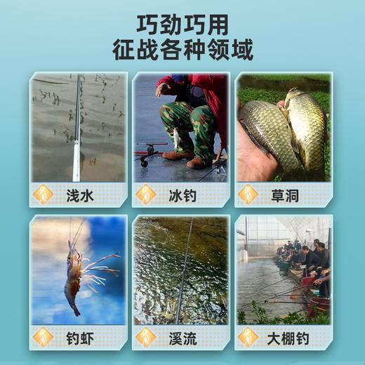 佳钓尼浅水短尾漂醒目高灵敏鲫鱼漂草洞水皮白条石斑钓虾鱼漂浮漂 商品图4
