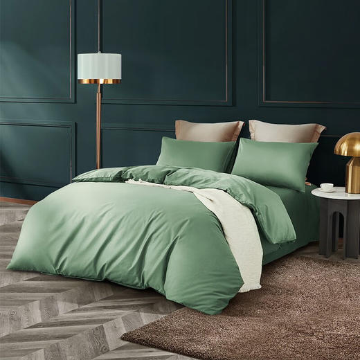 罗莱 简粹60S全棉贡缎四件套+罗莱 恬梦暖绒冬被【BJCT10.0】 商品图1