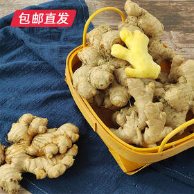 云南高原小黄姜3斤家庭装 【包邮直发】（ZB）