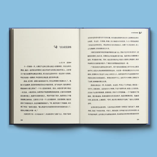 《骑鹅旅行记》经典译林版 商品图4