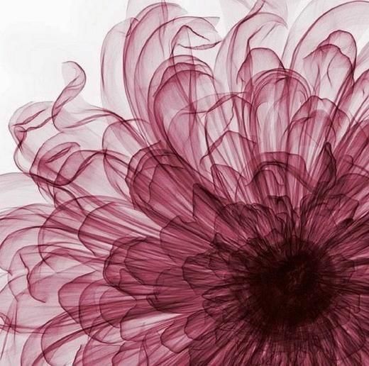 【生命故事】年过半百的高朝 商品图0