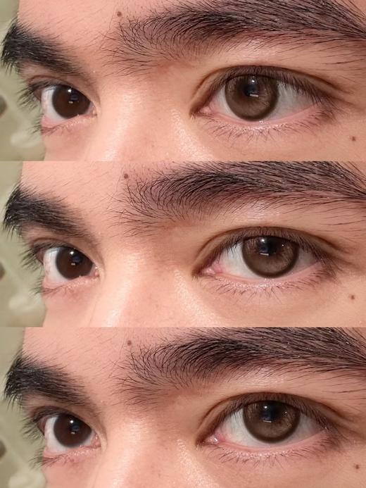 Cococon单款-怪力灵芝 商品图4