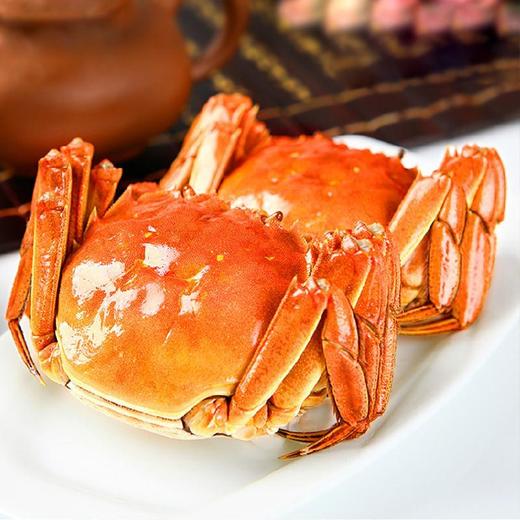 【卡劵】【阳澄湖大闸蟹1288型】阳澄湖大闸蟹送礼卡券公蟹：3.9两母蟹：2.9两各5只 商品图4