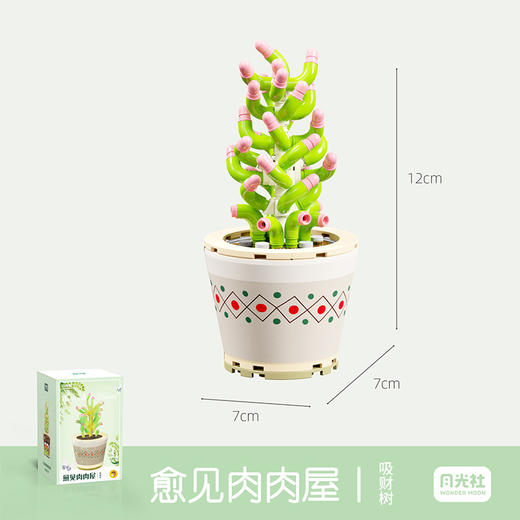 月光社愈见肉肉屋系列吸财树804207 商品图0