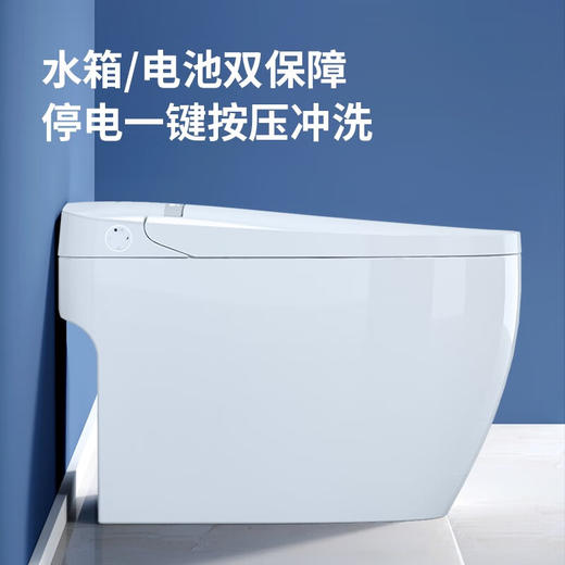 希箭（HOROW） 智能马桶 R1无水压即热式多重冲洗脚感冲水坐便器O2O(不含安装） R1无水压智能坐便器300坑距 商品图4