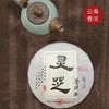 【浙大食用菌研究中心研发】灵芝普洱茶-百年普洱-生茶茶饼357g 商品缩略图2