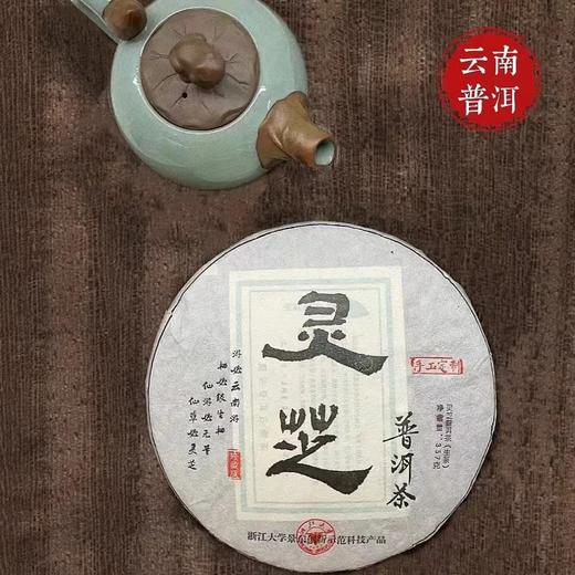 【浙大食用菌研究中心研发】灵芝普洱茶-百年普洱-生茶茶饼357g 商品图2