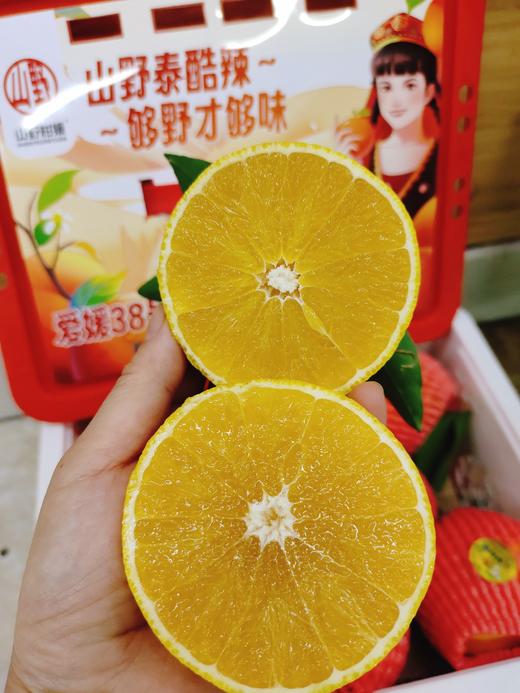 山野泰酷辣果冻橙一箱 商品图3