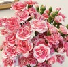 多头康乃馨·樱桃太子 商品缩略图1