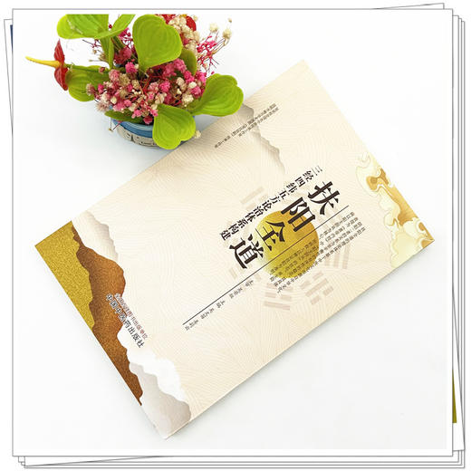 扶阳全道：三经四纬五方论治体系构建 吴文笛 姜莉云 主编 中国中医药出版社 商品图1