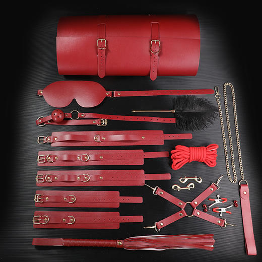 【SM-ebde】甄选SM情趣套装 商品图2