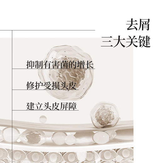 若也三重去屑止痒洗发液 236ml 去屑 止痒 商品图4