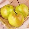 【玉露香梨】山西玉露香梨新鲜水果  3斤/4.5斤/8.5斤装 75mm+ 商品缩略图1