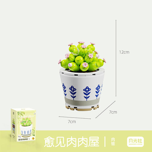 月光社愈见肉肉屋系列肉锥804208 商品图0