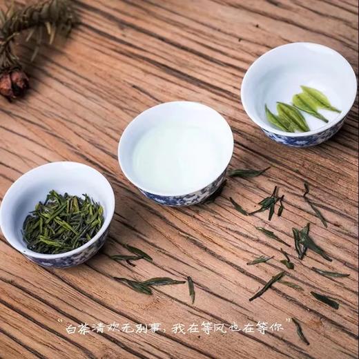 虞韵倾香有机白玉茶48g家庭装 商品图4