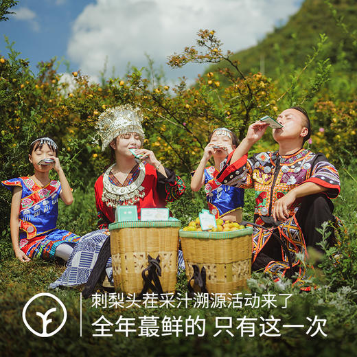 【活动：每拍3减10元！】有机刺梨原液 益生元/纯原汁两款可选有机刺梨原液，富含VC等几百种营养元素，口感清香回甘刺梨原浆 商品图0