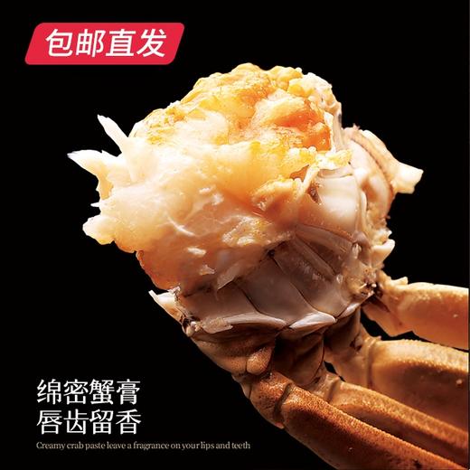 金世尊5888型大闸蟹卡券8只（雄蟹6.0两4只 雌蟹4.5两4只）【包邮直发】（ZB） 商品图2