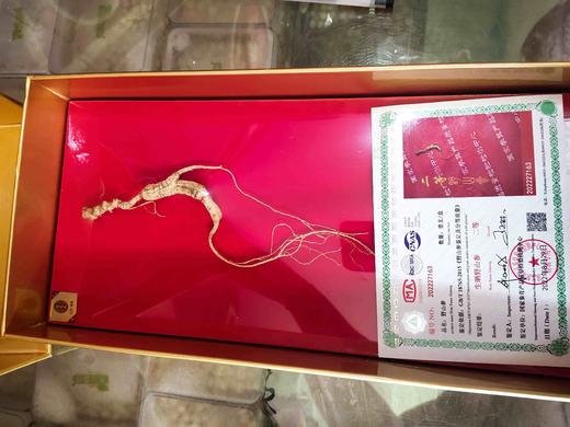 雷允上野山参（生晒野山参） 商品图1